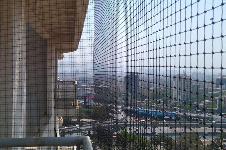Bird Netting Services