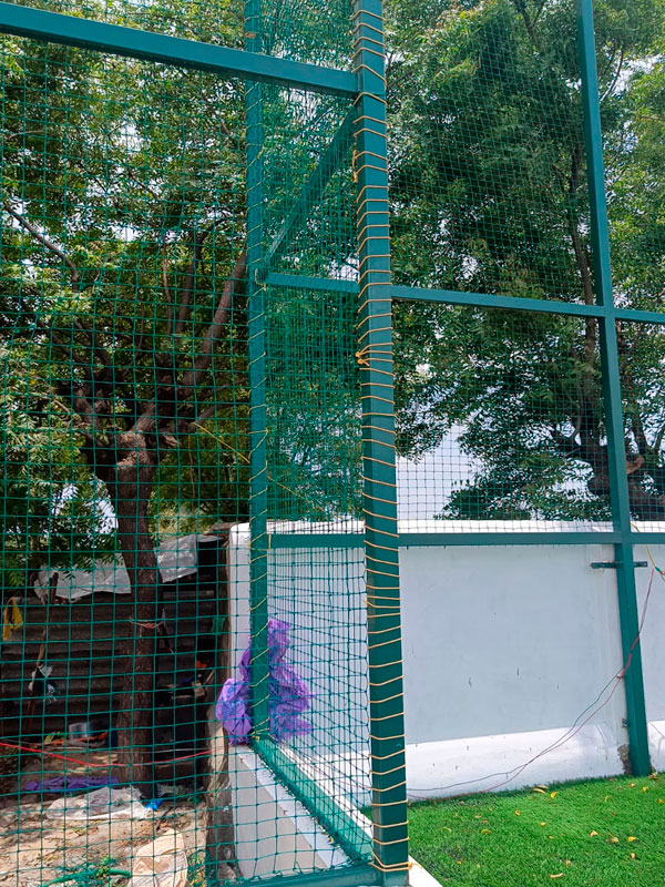 RKV Net Enterprises